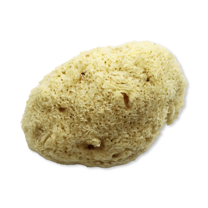 SpongeBox Natures Touch Sheep Wool Gentle Body & Bath Natural Sea Sponge 5-5.5 Inches