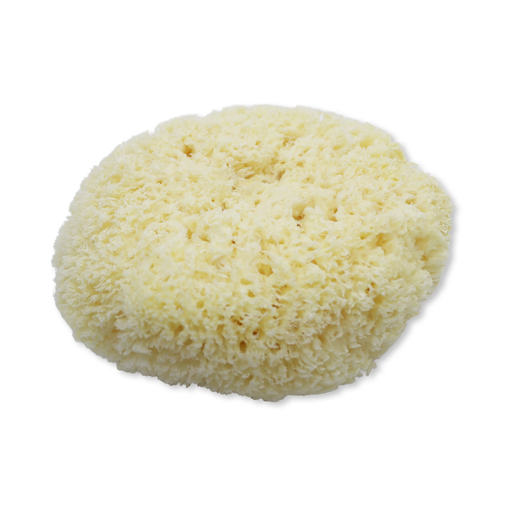 Natures Touch Sheep Wool Sponge 6 - 6.5 inches