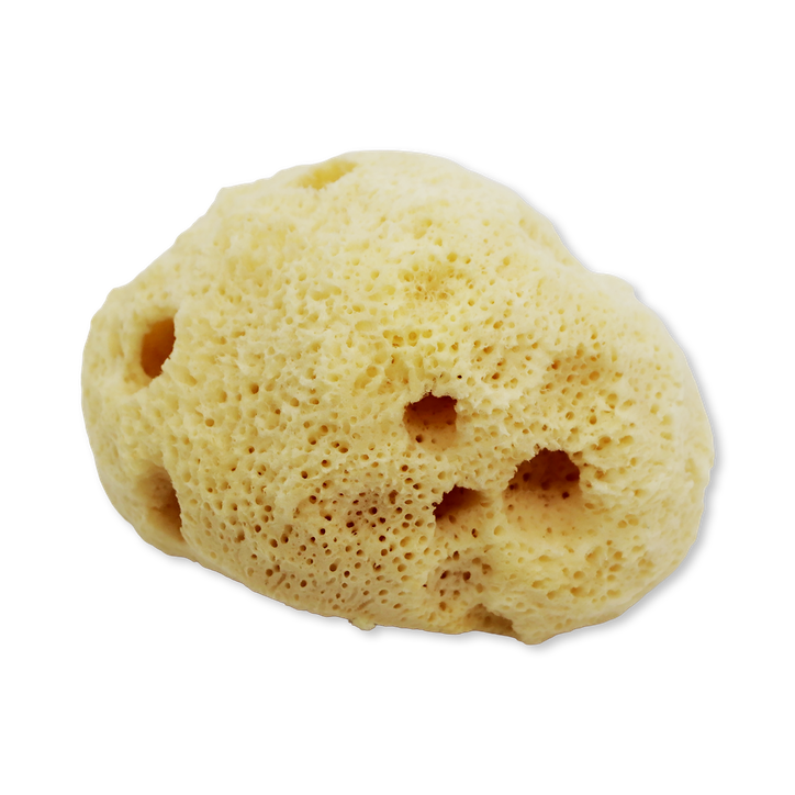 SpongeBox SilkGlow Gentle Body & Bath Natural Sea Sponge 4-4.5 Inches