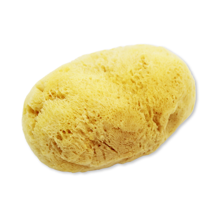 SpongeBox SilkGlow Gentle Body & Bath Natural Sea Sponge 5‚Äì5.5 Inches