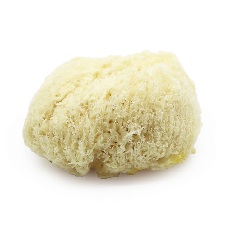 SpongeBox - Deep Sea Luxe Body & Bath Natural Sea Sponge 5–5.5 Inches