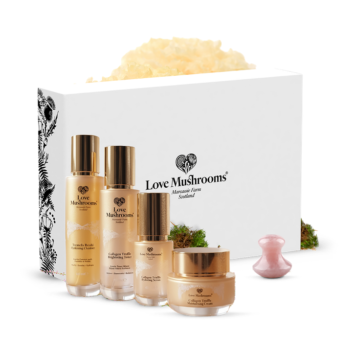 Love Mushrooms Collagen Truffle Gift Set - 1 Pack