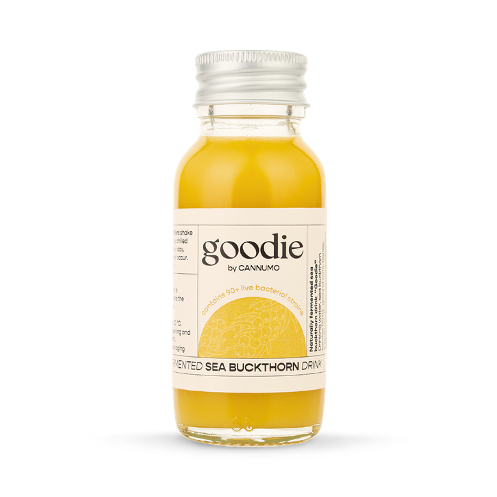 GOODIE - Fermented Sea Buckthorn Drink 60ml