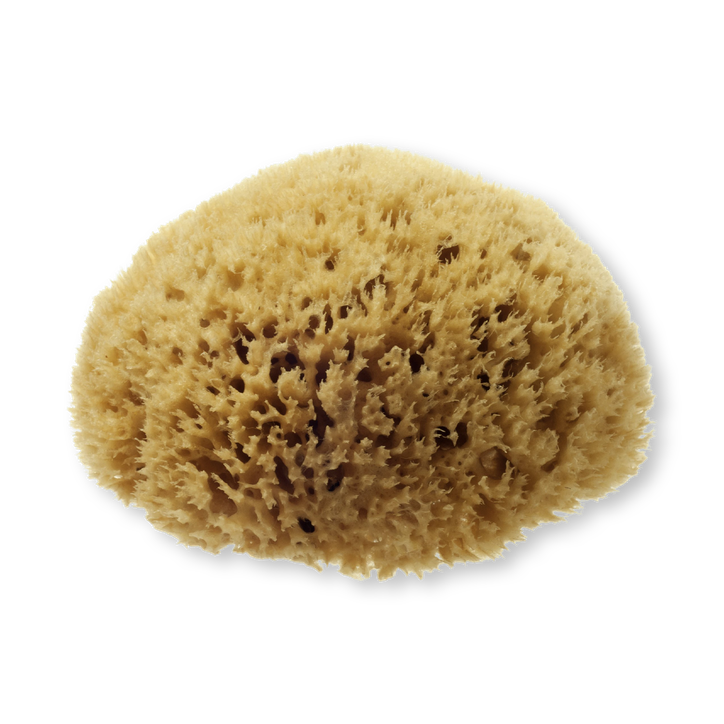 Natural Sea Sponge for Bathing