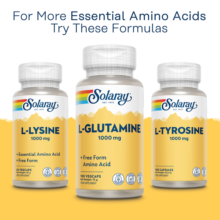 carnitine core l glutamine Solaray L-Glutamine 1000mg 100 Capsules Size:12 PIECE NMR Spectroscopy of Brain instant brightening cream