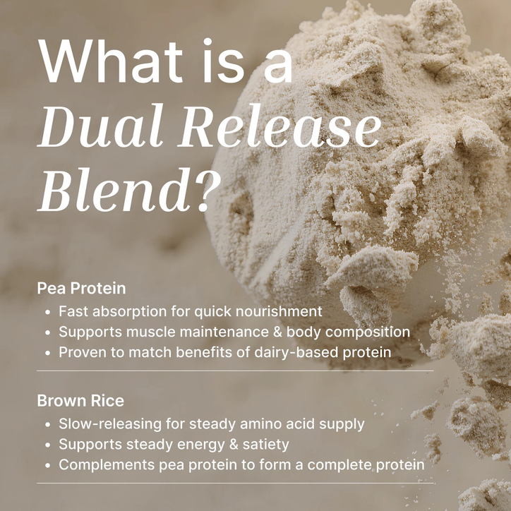 EXALT MADAGASCAN VANILLA VEGAN PROTEIN POWDER 1kg image 7