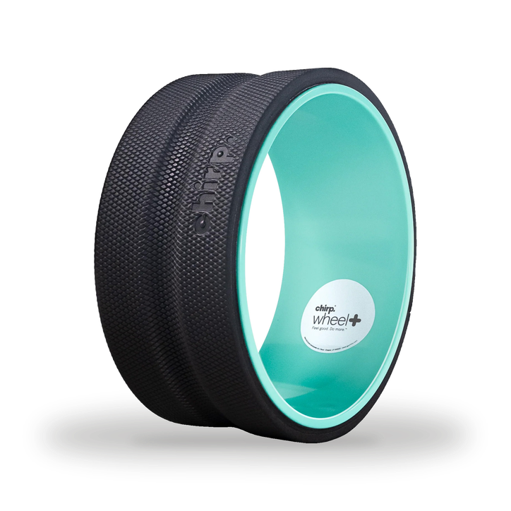 Chirp Relief Wheel+ 10″ Massager