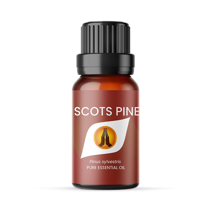 Scots Pine Pure Essential Oil - 10ml