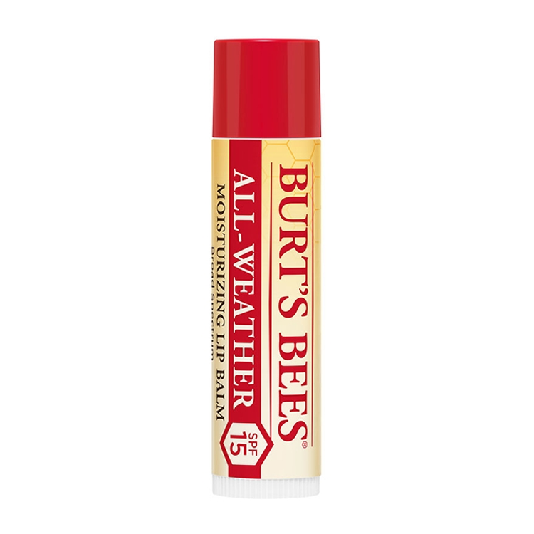 Burt's Bees All Weather Lip Balm Holland & Barrett