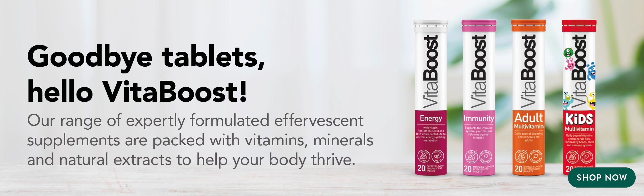 VitaBoost vitamin, mineral and natural extract supplements