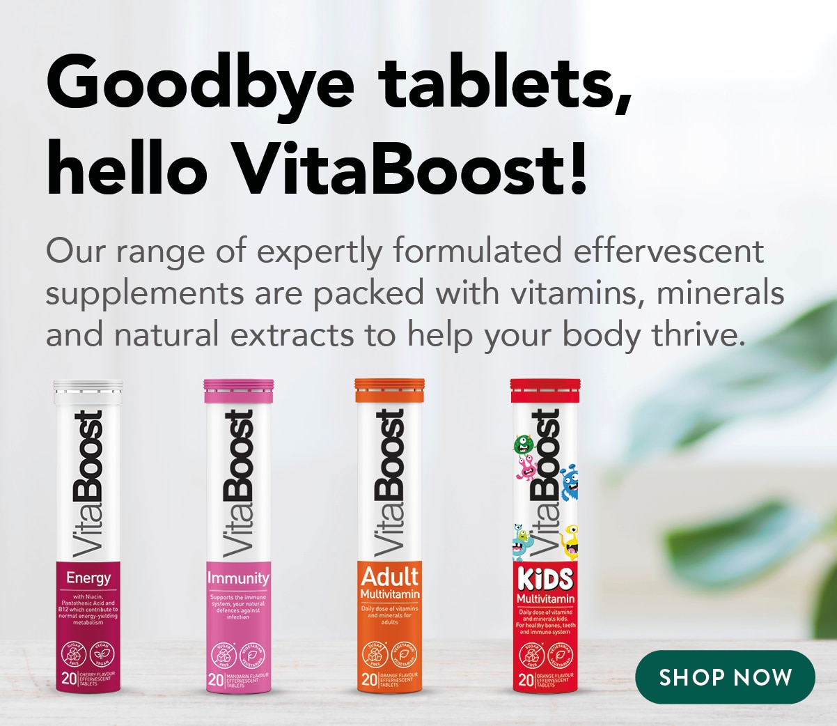 VitaBoost vitamin, mineral and natural extract supplements