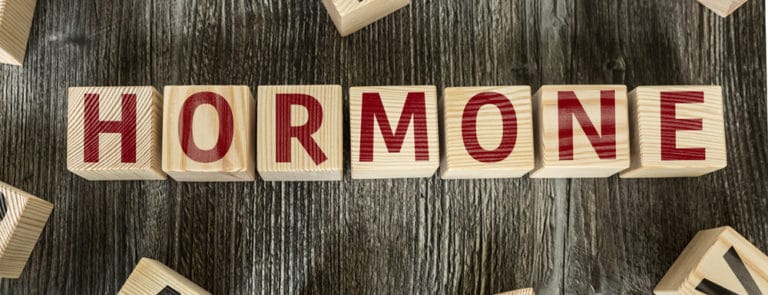 Wooden blocks spelling out hormone