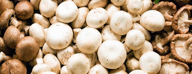 Spotlight on mushrooms | Holland & Barrett