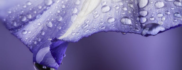 Intimate dryness: your guide to causes and remedies image
