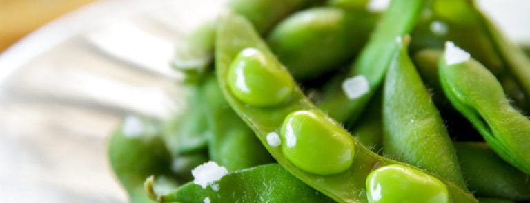 japanese food edamame nibbles, boiled green soy beans