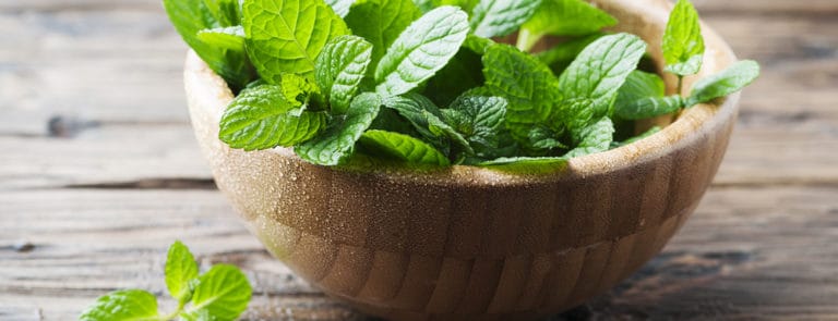 Fresh mint in a wooden bowl