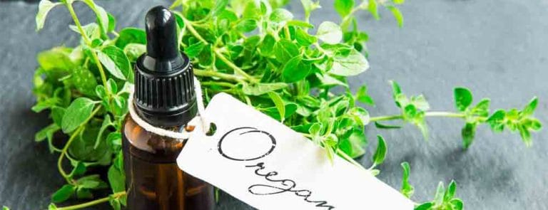 The health benefits of oregano worth knowing about image