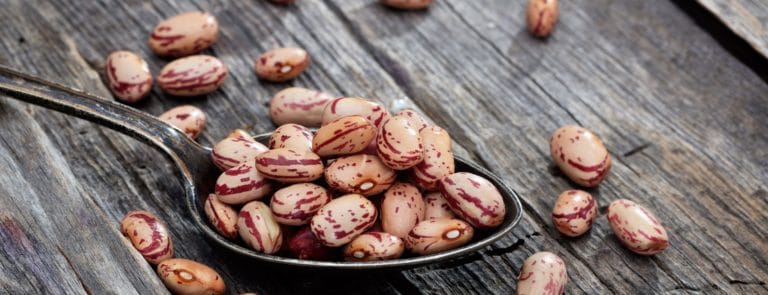 Raw pinto beans on an old wooden table