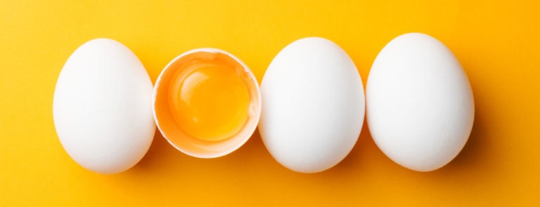 egg yolks are a good source of lecithin