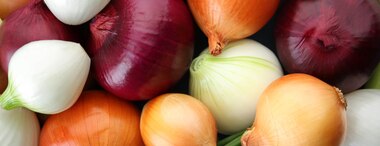 Health Benefits Of Eating Onions