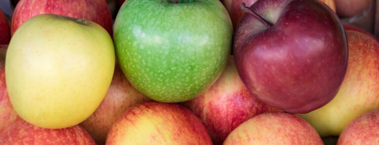 different types of apples