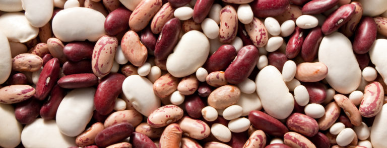 beans help to stop bloating