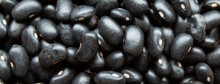 Health benefits of black beans image