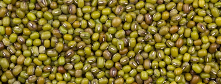 Mung bean guide: benefits, nutrition, protein & calories image