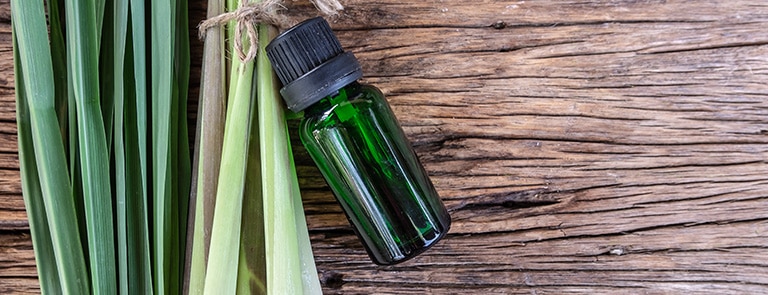 Lemongrass oil: Uses and benefits image