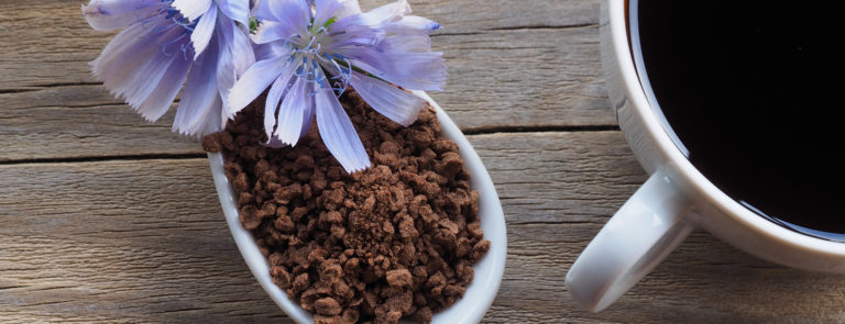 Granulated Chicory root into granulated coffee on a large white spoon with blue flowers on top and a cup of black coffee beside it.