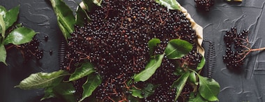 Health benefits of elderberries