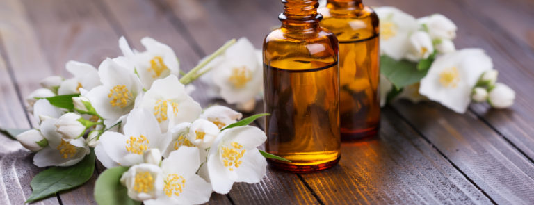 Jasmine essential oil: uses and benefits image