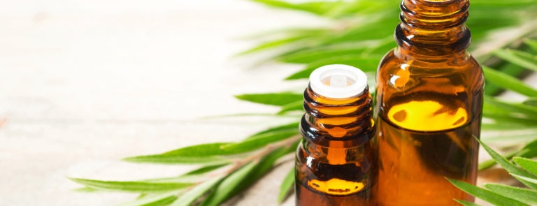 Tea tree oil: Uses and benefits image