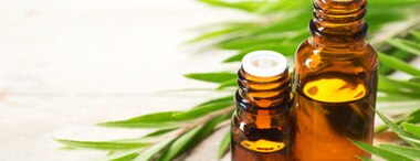 Tea tree oil: Uses and benefits