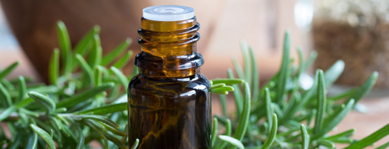 Rosemary oil: uses & benefits image