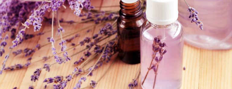 making lavender oil
