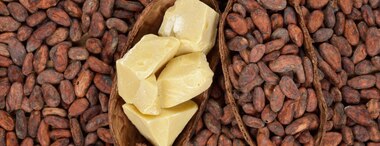 Cocoa Butter Benefits: For Hair & Skin