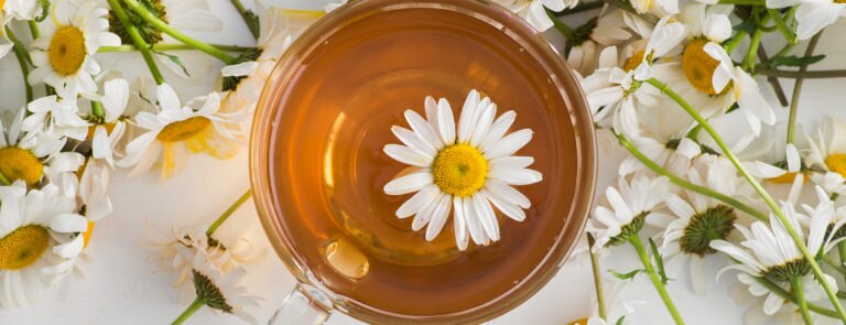 Chamomile