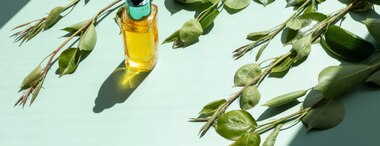 What Is Cacay Oil: Benefits & Uses