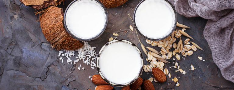 Plant based milks in 3 bowls, surrounded by coconuts, rice, almonds, wheat and soy beans.