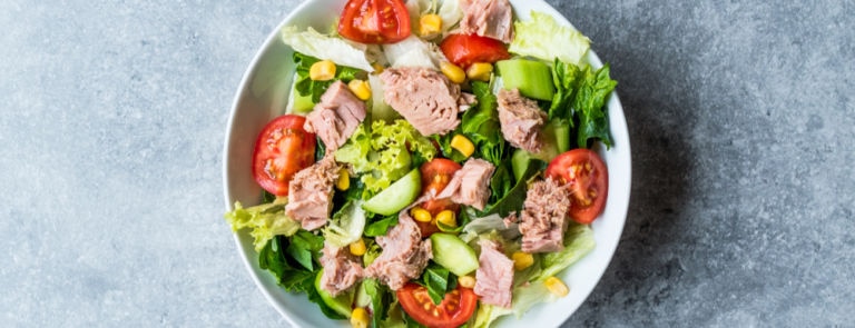 As well as being tasty and incredibly diverse, tuna also has numerous health benefits for the body, bones, and brain. Find out how to include more in your diet!