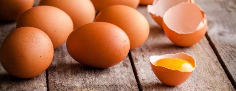 Is egg the best source of protein? image