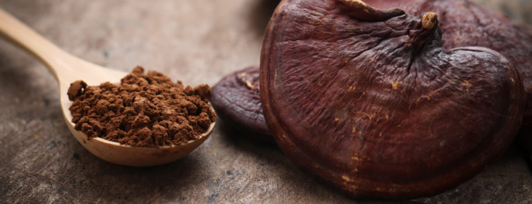 Mushroom protein powder – a good alternative for vegans? image